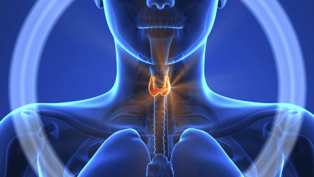 MusikHolics - Best Ways on Detecting and Treating Thyroid disease